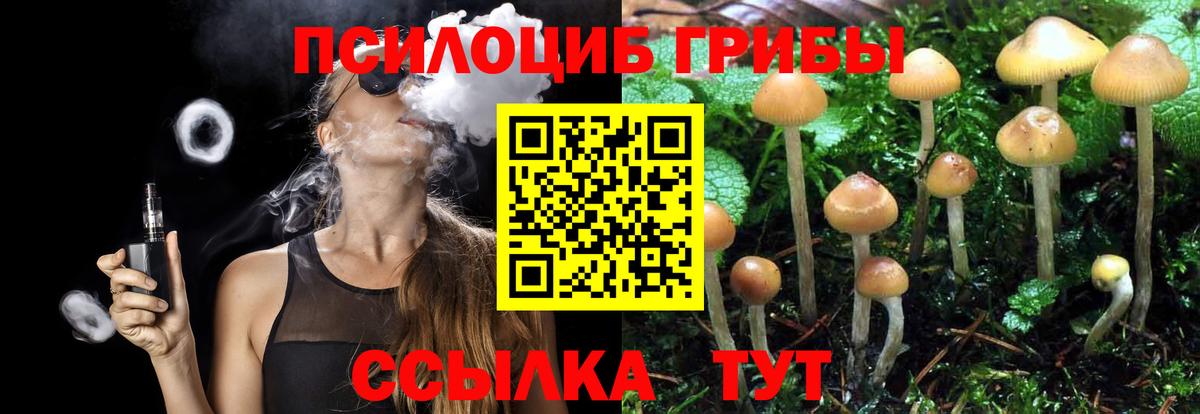 Галлюциногенные грибы мухоморы Гусь-Хрустальный